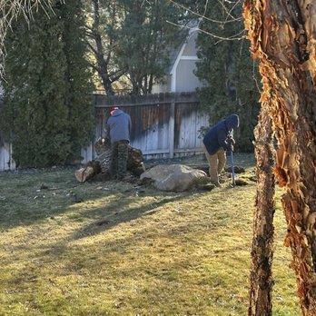 Monjas Landscaping - Tree removal - Landscaping Near Me - Reno, Nevada
