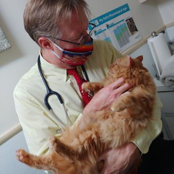 Murphy Pet Hospital - Dr. Sawyer giving Leon love like the baby he is - Veterinarians Near Me - Sunnyvale, California Murphy Pet Hospital - Dr. Sawyer giving Leon love like the baby he is - Veterinarians Near Me - Sunnyvale, California
