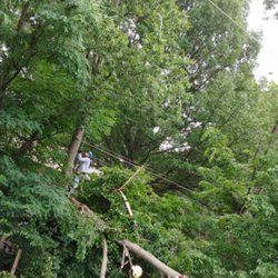 Martinez Tree & Lawn Service