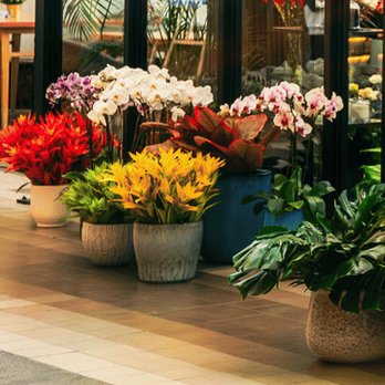 Les Fieurs - Florists Near Me - Parañaque, NCR