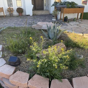 Vegas Landscaping Services - Gardeners Near Me - Las Vegas, Nevada