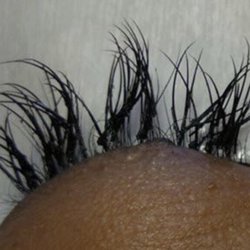 Lash By Michelle