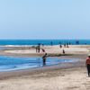 Bolinas Beach gift card
