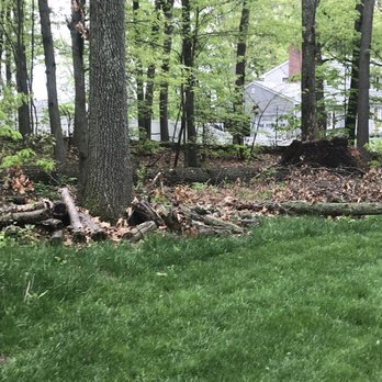 D&S Yardworks - After work completed, looks great! - Tree Services Near Me - Bolton, Connecticut D&S Yardworks - After work completed, looks great! - Tree Services Near Me - Bolton, Connecticut