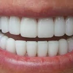 Thomas J Machnowski, DDS - Untitled