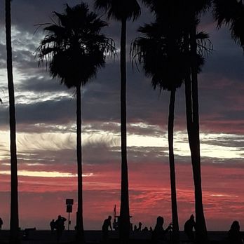 Venice Beach Boardwalk - Beaches Near Me - Venice, California