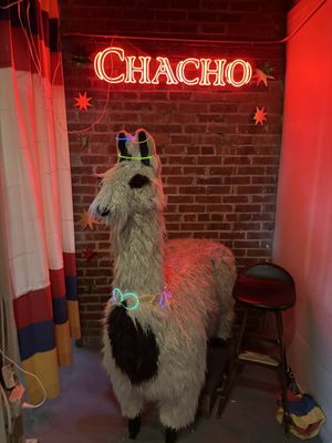 Chacho Spirits by null