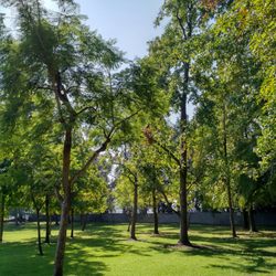 Emerald Isle Park