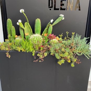 dLeña - Outdoor area - Mexican Near Me - Washington, DC, District of Columbia