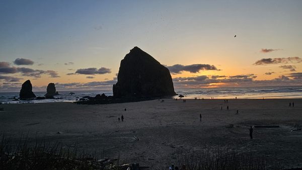 Haystack Rock by null
