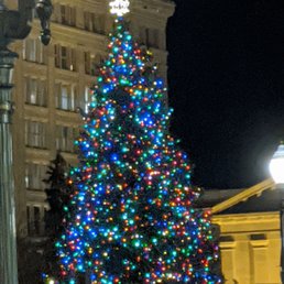 The tree lighting The tree lighting