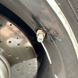 Tires & Mohr - Missing part also