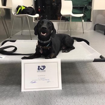 K9 Boot Camp - Pet Training Near Me - East Rutherford, New Jersey K9 Boot Camp - Pet Training Near Me - East Rutherford, New Jersey