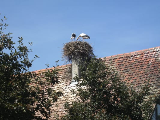 Écomusée d'Alsace by null