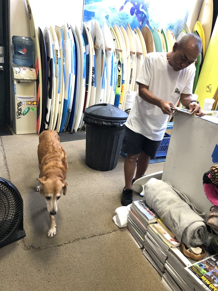 SURF GARAGE 21 Photos & 63 Reviews 27162 S King St, Honolulu