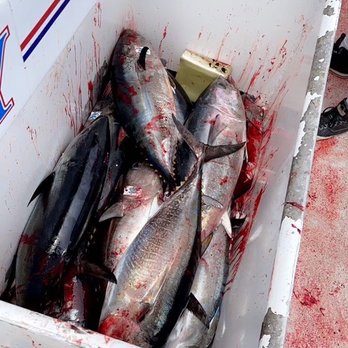 Old Glory - Fishing Near Me - San Diego, California