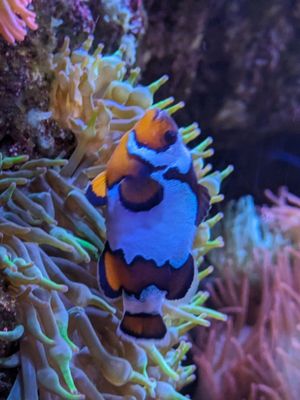 The Florida Aquarium by null