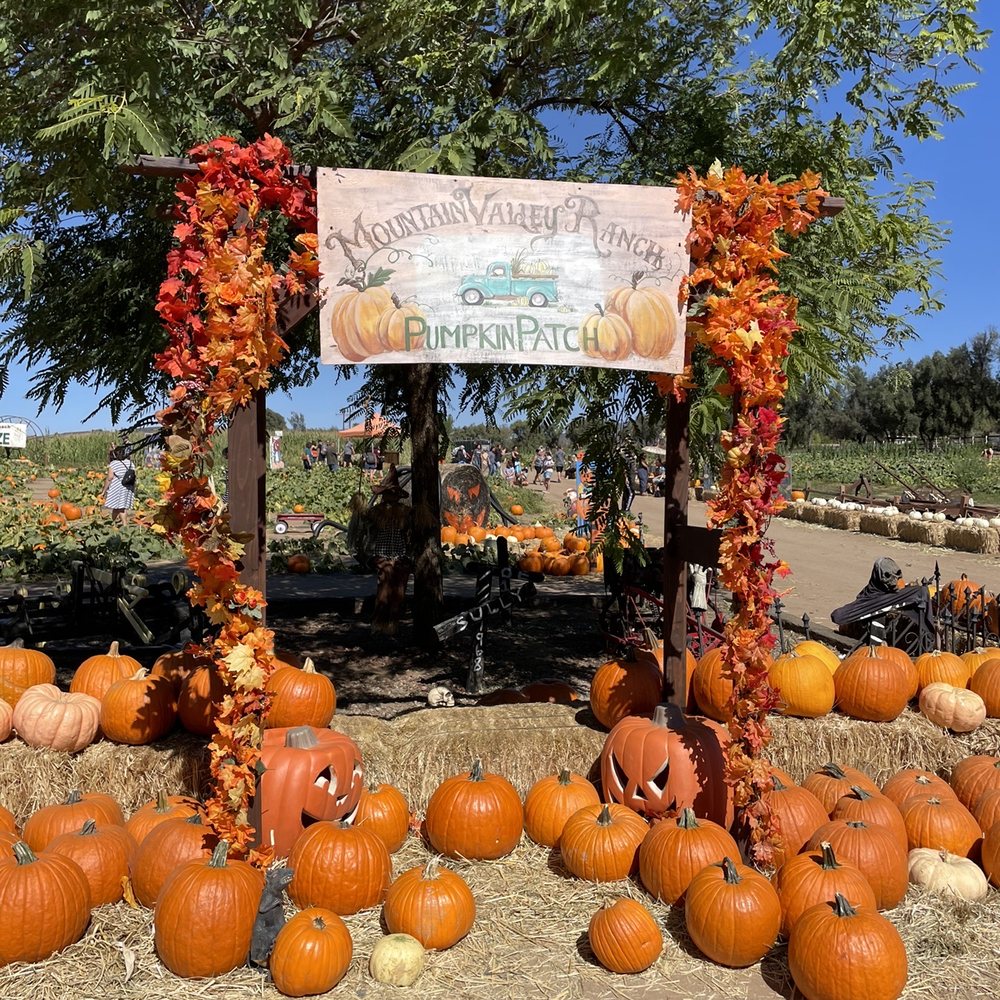 Mountain Valley Ranch - Photo opp - Pumpkin Patches Near Me - Ramona, California Mountain Valley Ranch - Photo opp - Pumpkin Patches Near Me - Ramona, California