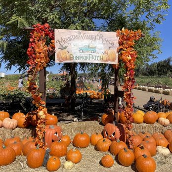 Mountain Valley Ranch - Photo opp - Pumpkin Patches Near Me - Ramona, California Mountain Valley Ranch - Photo opp - Pumpkin Patches Near Me - Ramona, California