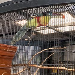 Reptile Haven & Exotic Birds