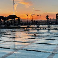 Long Beach Grunions - Sunset swimming