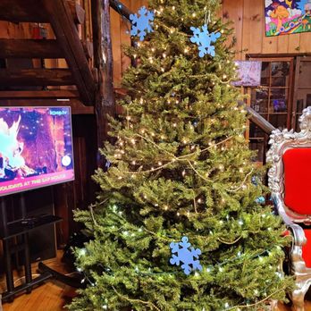 The SAF House - Christmas time at The SĀFHOUSE - Reiki Near Me - Oswego, Illinois