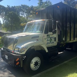 Express Tree Services