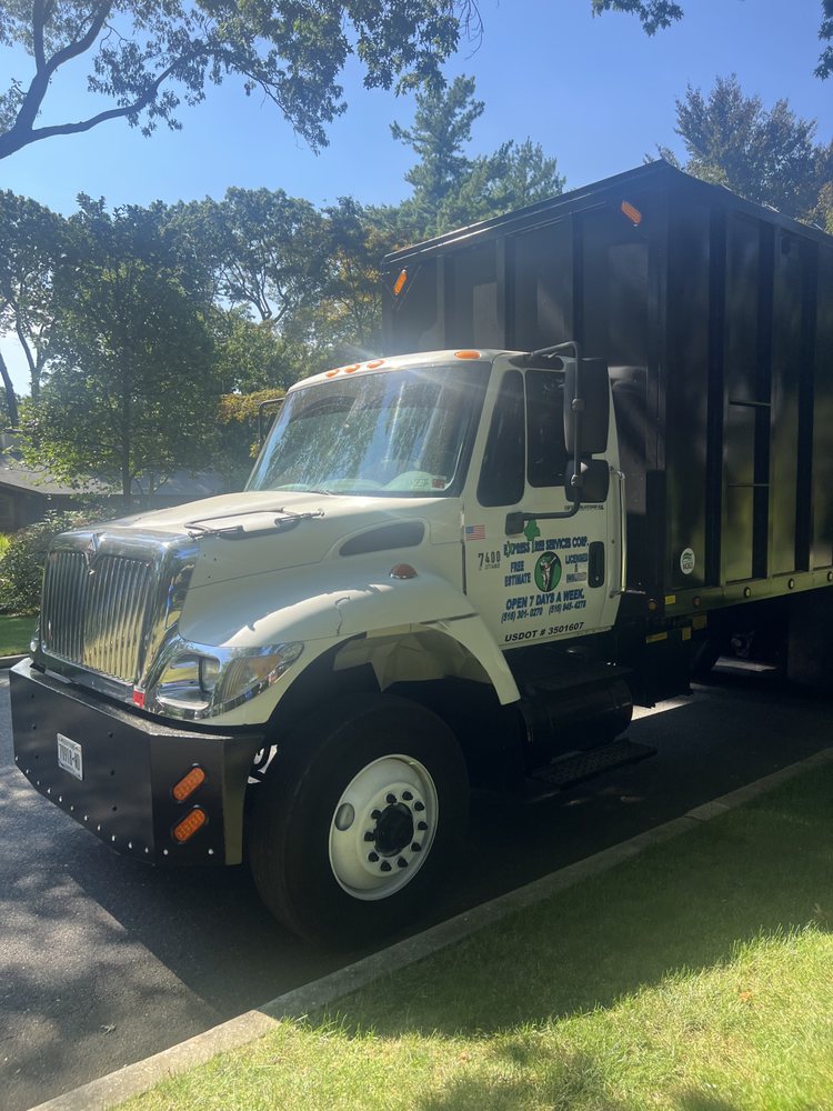 Express Tree Services - tree service in Freeport, NY