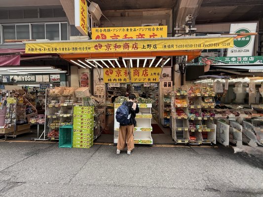 Ueno Ameyoko Shopping Street by null