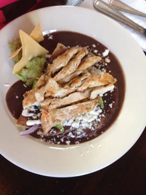 Zona Rosa Brooklyn by null