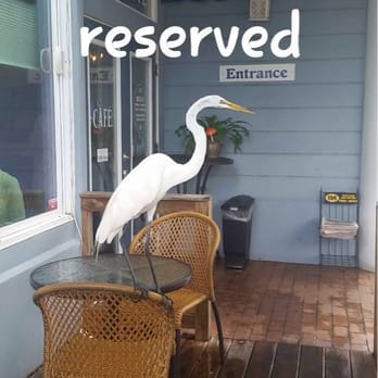 Wildflower Cafe - Breakfast & Brunch Near Me - Clearwater, Florida Wildflower Cafe - Breakfast & Brunch Near Me - Clearwater, Florida