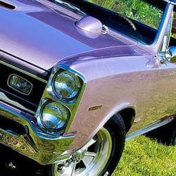 American Collectors Insurance