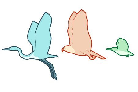 3 Birds Accessibility