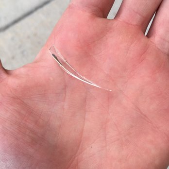 Lily Flowers - Another piece of glass that was on my doorstep.  Incredibly dangerous! - Florists Near Me - Lakewood, Colorado