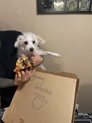Lucky's Pizza by null