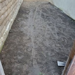 What the yard looked like after all the grass was taken out