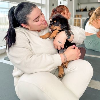 Puppy Sphere - Yoga Near Me - Miami, Florida Puppy Sphere - Yoga Near Me - Miami, Florida