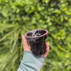 Bahama Mama - BLACK FRIDAY DEAL- BUY A HOOKAH GET A FREE BOWL