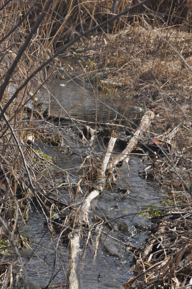 Slide of Drain Detectives