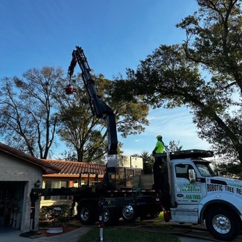 A Low Cost Tree Service - Tree Services Near Me A Low Cost Tree Service - Tree Services Near Me
