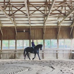 Horse
