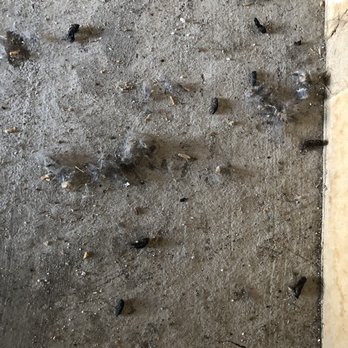 SmartStop Self Storage - More rodent droppings - Self Storage Near Me - Vallejo, California