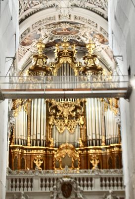 Grand Circle Travel by null