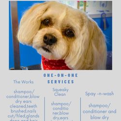 K9 Cleaners - Services and prices