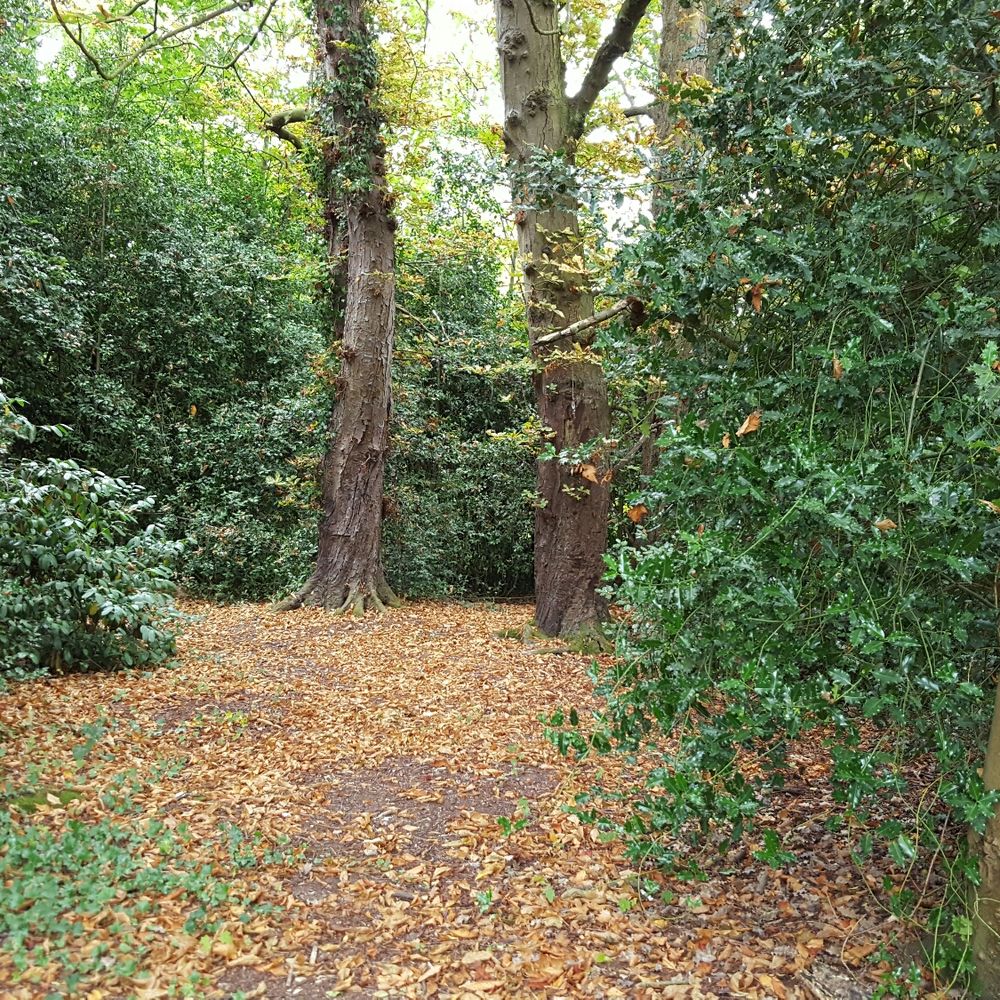 Mistley Place Park Tearooms - Coffee & Tea Near Me - Manningtree, ESS