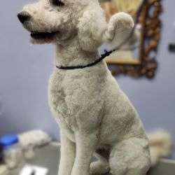 K9 Crew Cuts