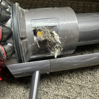 Ammco Vacuum & Sewing - Flooring Near Me - Los Alamitos, California Ammco Vacuum & Sewing - Flooring Near Me - Los Alamitos, California