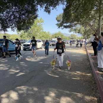 Wiggle Waggle Walk - Many shades - Community Service/Non-Profit Near Me - Pasadena, California Wiggle Waggle Walk - Many shades - Community Service/Non-Profit Near Me - Pasadena, California