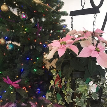 Duarte Nursery - Christmas at Duarte Nursery. - Nurseries & Gardening Near Me - Hughson, California Duarte Nursery - Christmas at Duarte Nursery. - Nurseries & Gardening Near Me - Hughson, California