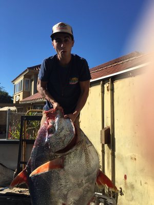 Wild Local Seafood Co by null